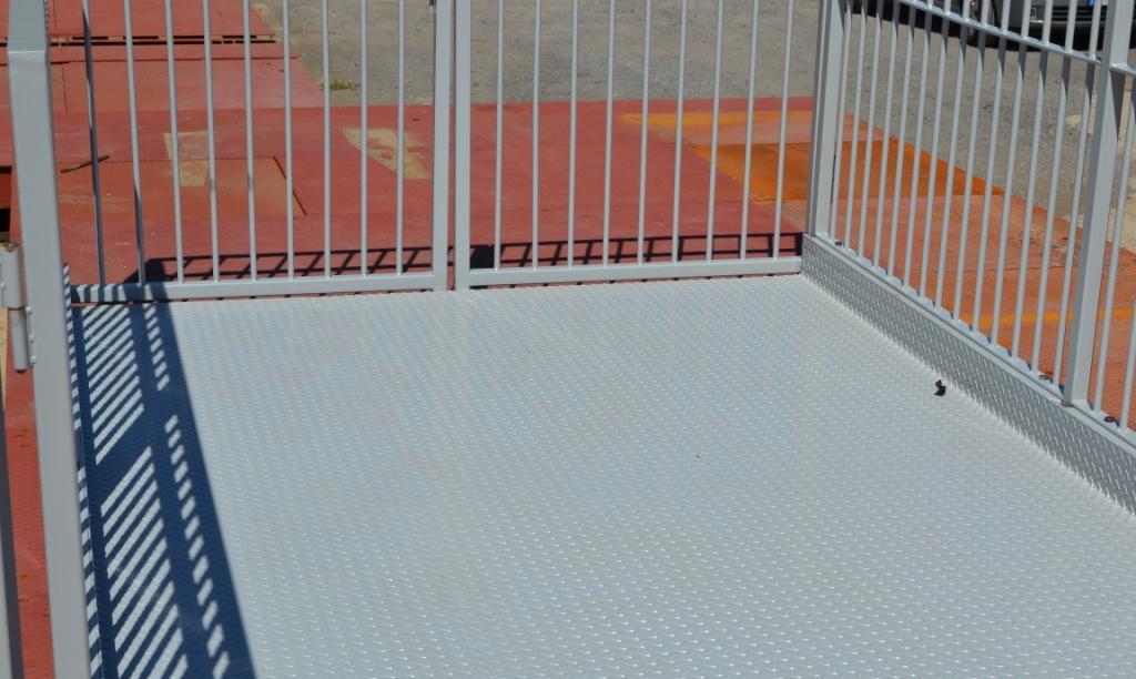 GC-PBB Pesa Bestiame Elettronica per bovini